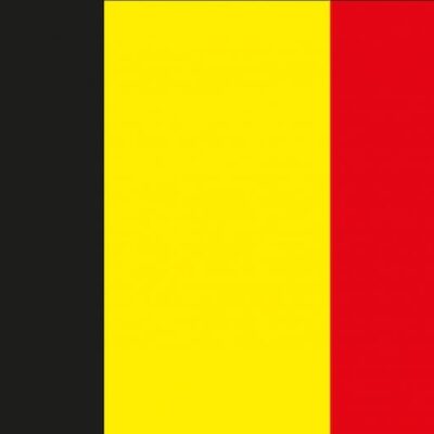 Belgische vlag 2